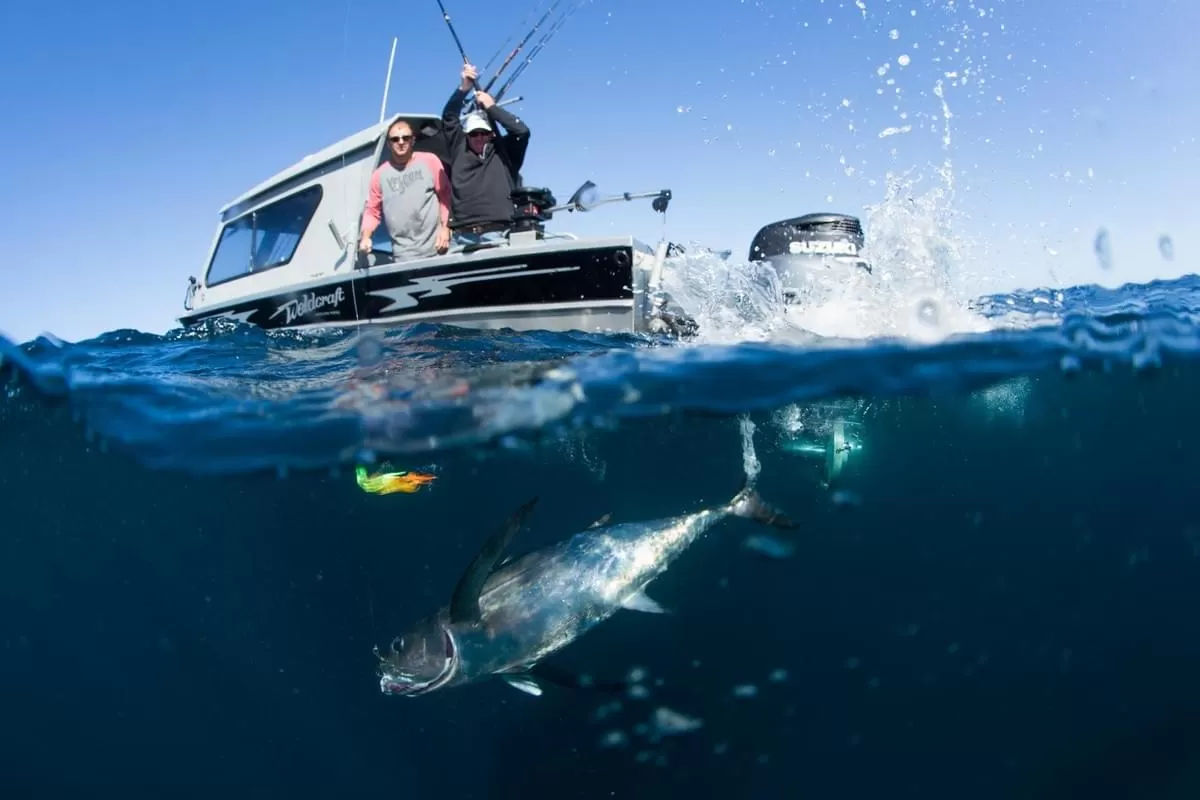 Antalya Fishing Tour