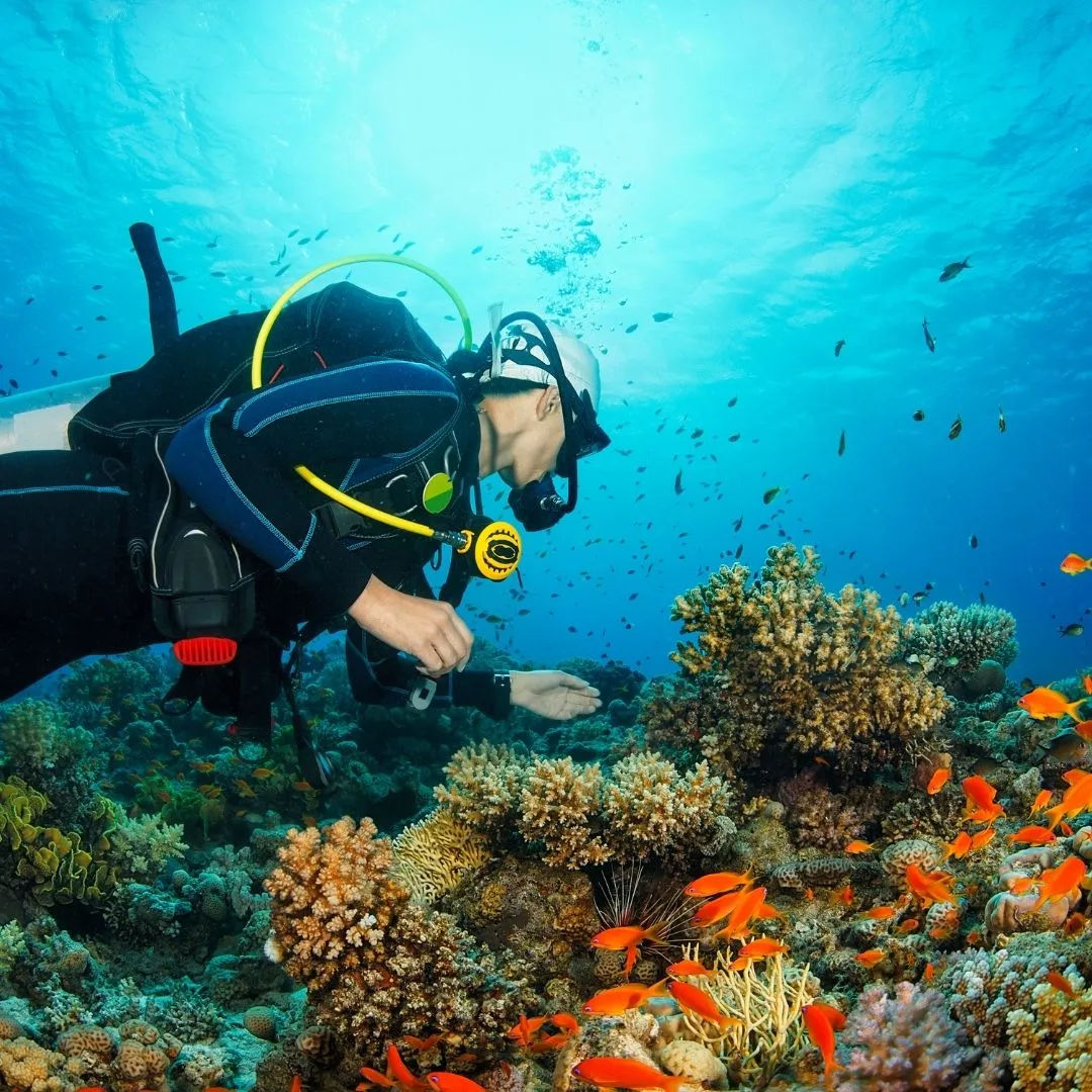 Belek Diving Tour