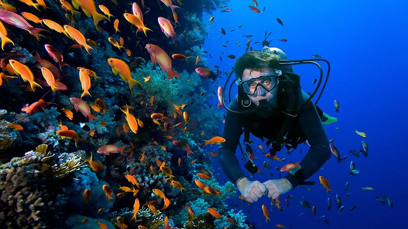 Belek Diving Tour