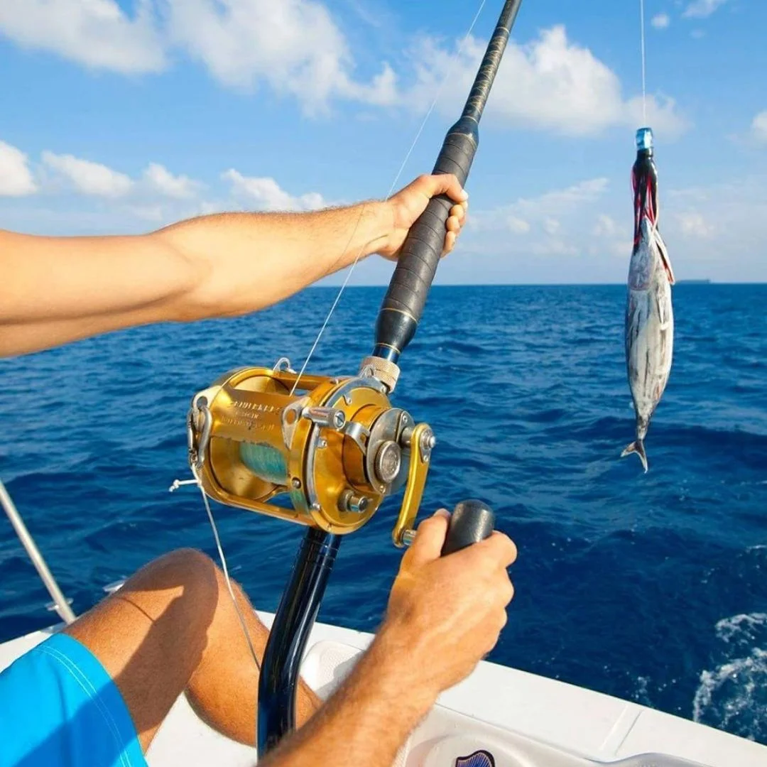 Fishing playing. Рыбалка на Мальдивах. Мальдивы рыболовство. Рыбалка на тунца. Удочка на тунца.