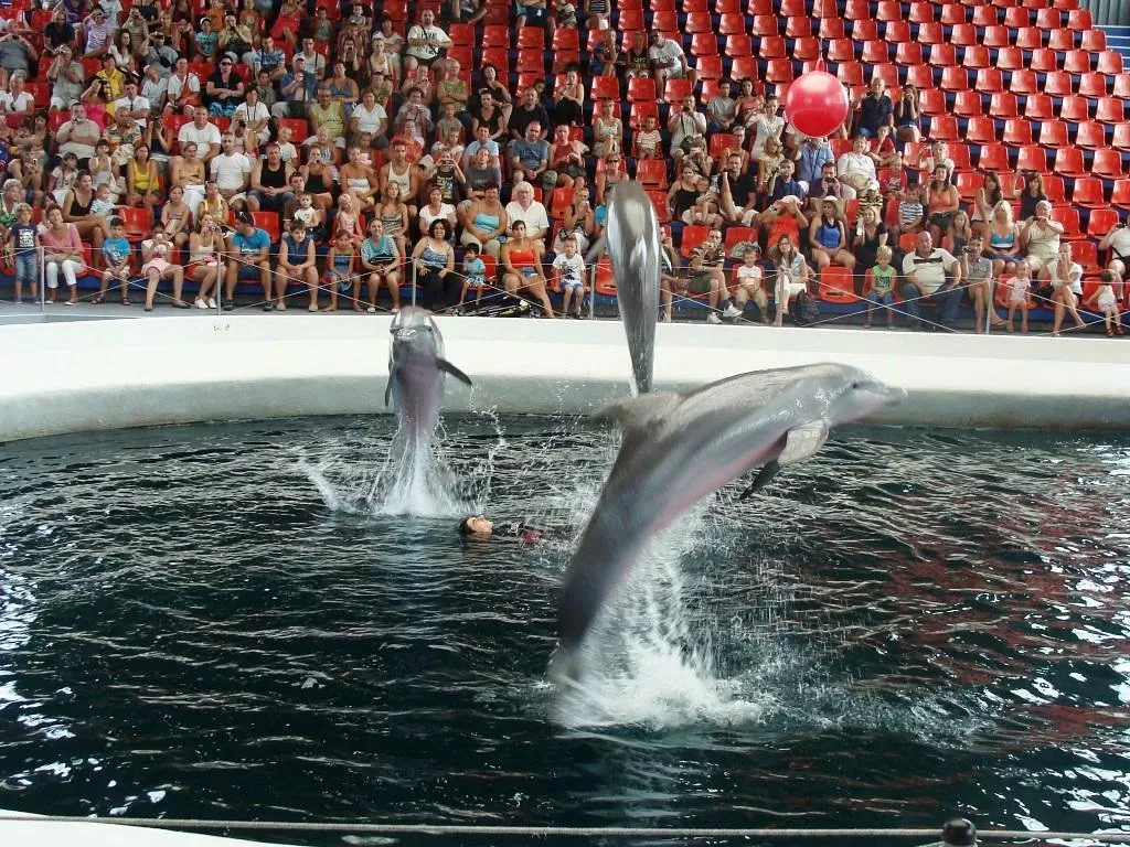 Kemer Dolphinarium