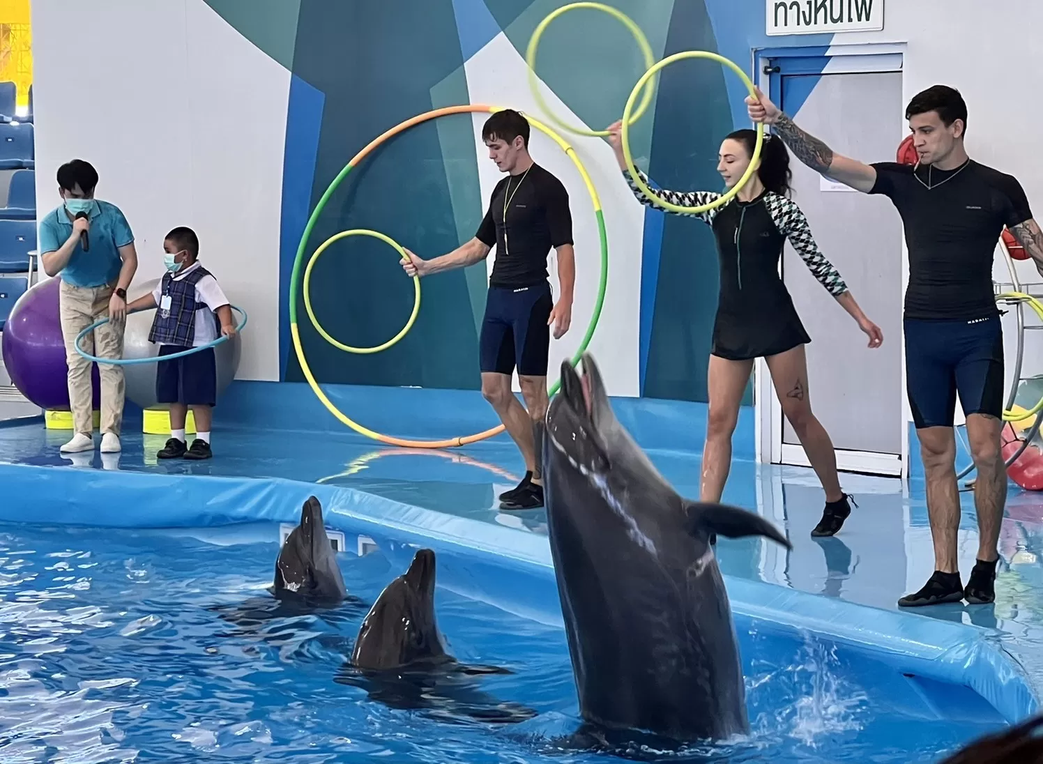 Kemer Dolphinarium