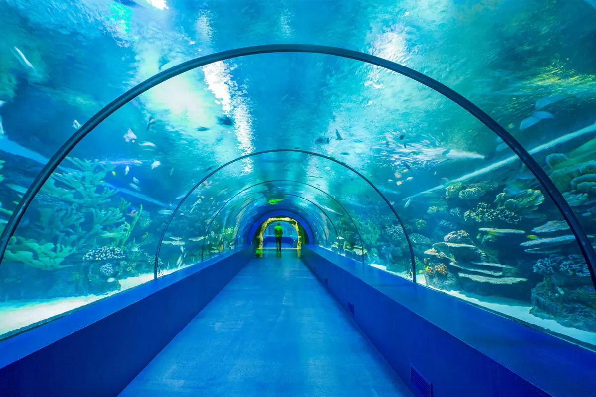 Belek Aquarium Tour