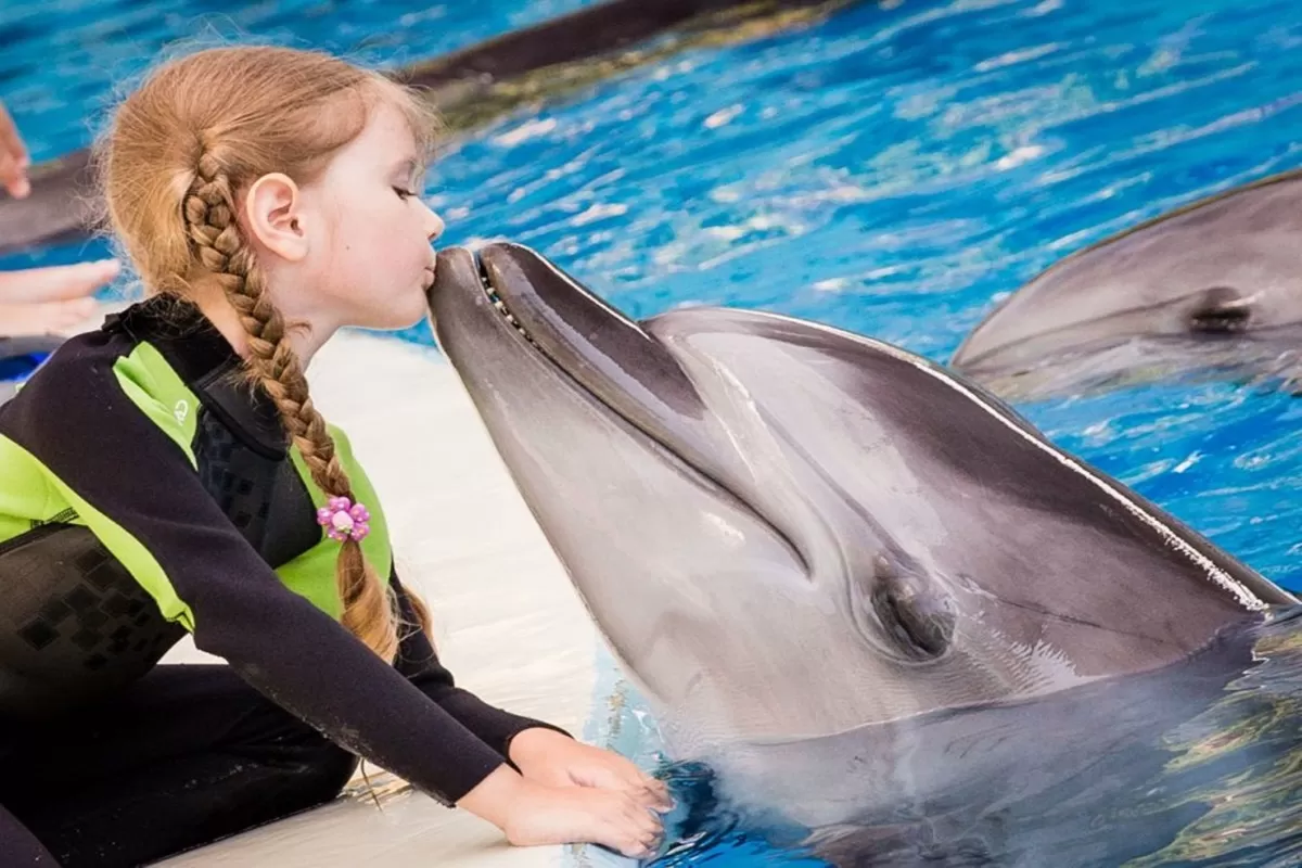 Belek Dolphins Show